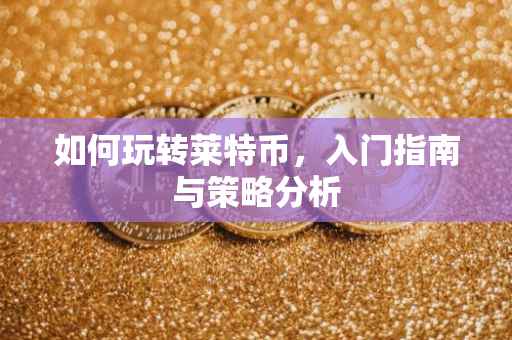 如何玩转莱特币，入门指南与策略分析