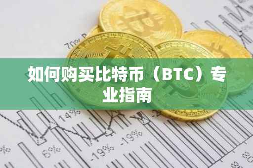 如何购买比特币（BTC）专业指南