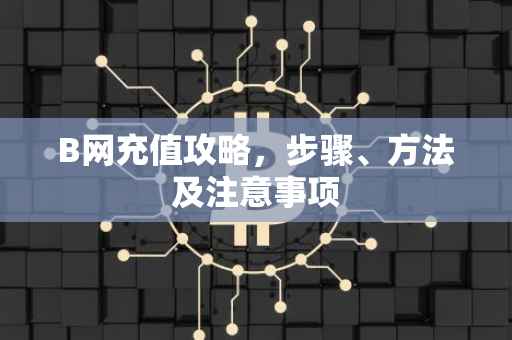 B网充值攻略，步骤、方法及注意事项