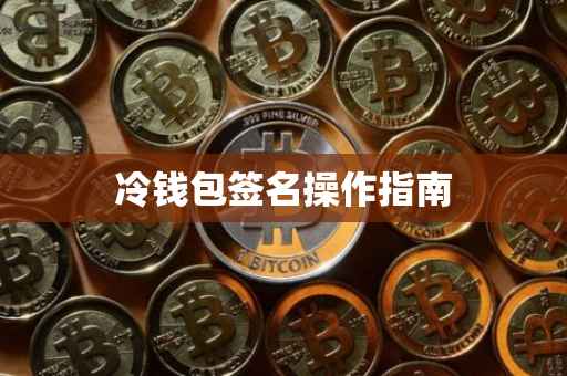 冷钱包签名操作指南