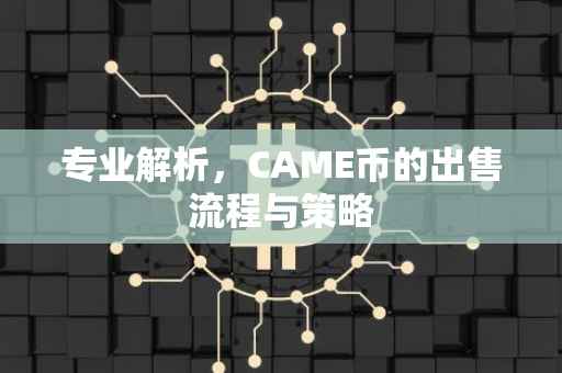 专业解析，CAME币的出售流程与策略
