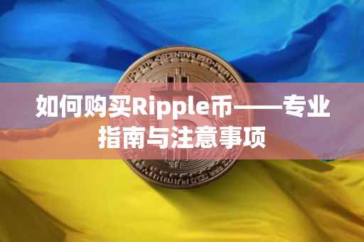 如何购买Ripple币——专业指南与注意事项