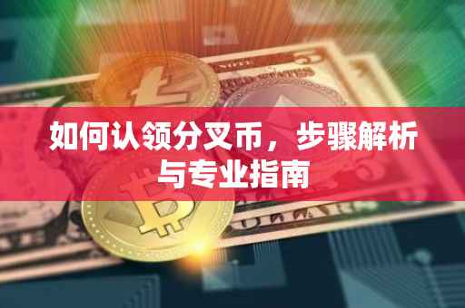 如何认领分叉币，步骤解析与专业指南