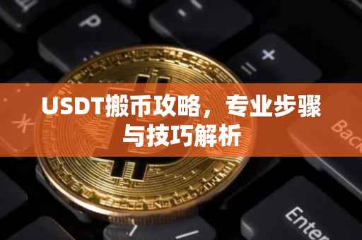 USDT搬币攻略，专业步骤与技巧解析