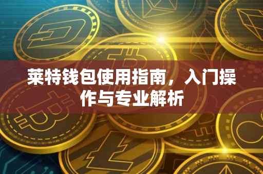 莱特钱包使用指南，入门操作与专业解析