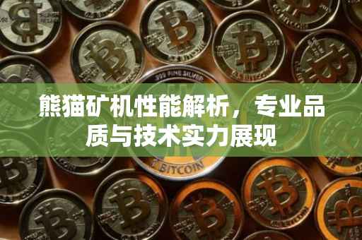 熊猫矿机性能解析，专业品质与技术实力展现