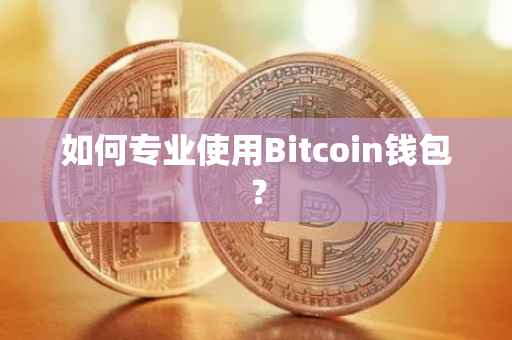 如何专业使用Bitcoin钱包？