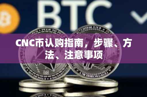 CNC币认购指南，步骤、方法、注意事项
