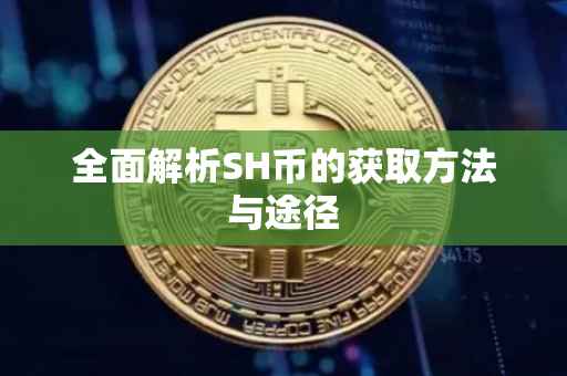 全面解析SH币的获取方法与途径