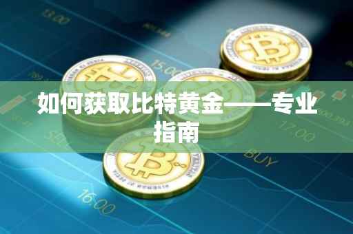 如何获取比特黄金——专业指南