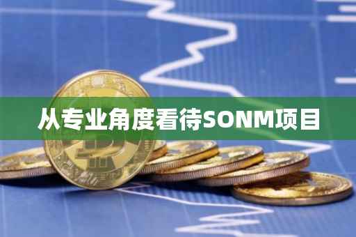 从专业角度看待SONM项目