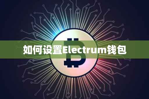 如何设置Electrum钱包