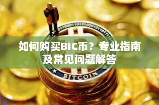 如何购买BIC币？专业指南及常见问题解答