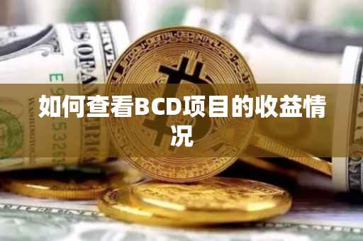 如何查看BCD项目的收益情况