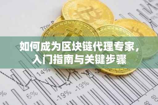如何成为区块链代理专家，入门指南与关键步骤
