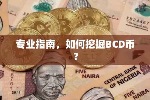 专业指南，如何挖掘BCD币？