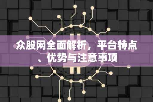 众股网全面解析，平台特点、优势与注意事项