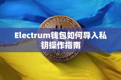 Electrum钱包如何导入私钥操作指南