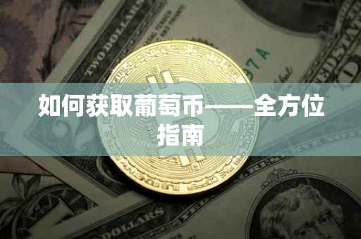 如何获取葡萄币——全方位指南