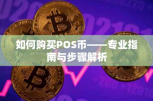 如何购买POS币——专业指南与步骤解析