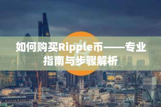 如何购买Ripple币——专业指南与步骤解析