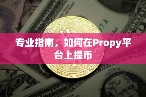 专业指南，如何在Propy平台上提币