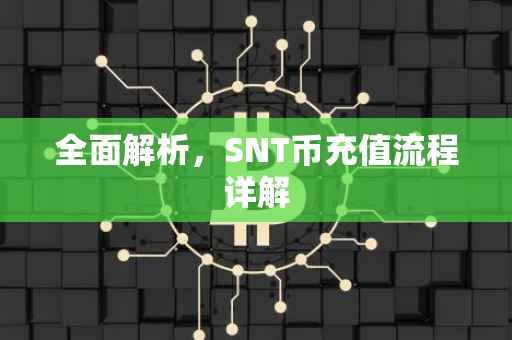 全面解析，SNT币充值流程详解