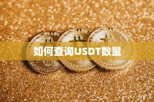 如何查询USDT数量
