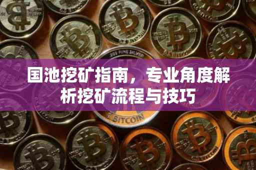 国池挖矿指南，专业角度解析挖矿流程与技巧