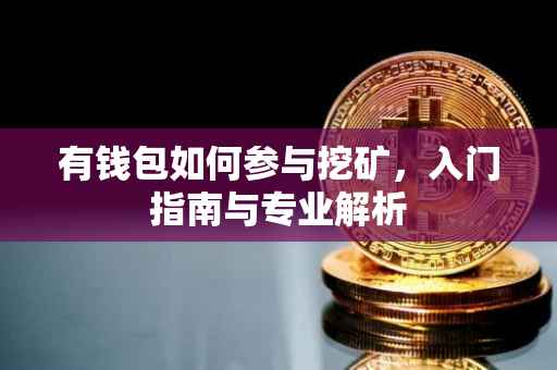 有钱包如何参与挖矿，入门指南与专业解析
