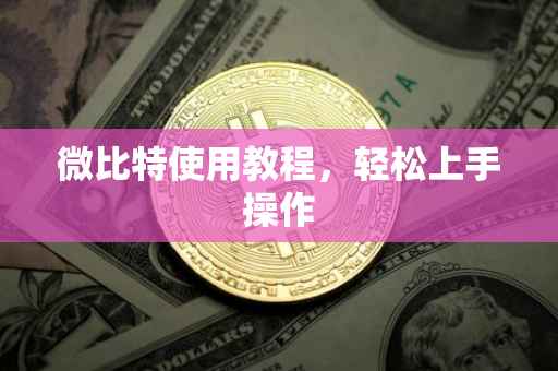 微比特使用教程，轻松上手操作