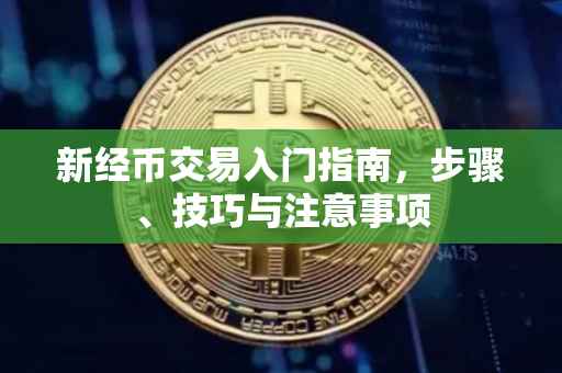 新经币交易入门指南，步骤、技巧与注意事项
