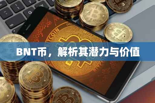 BNT币，解析其潜力与价值
