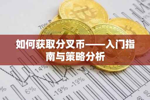 如何获取分叉币——入门指南与策略分析