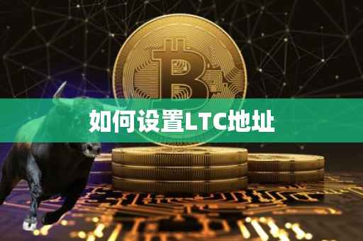 如何设置LTC地址