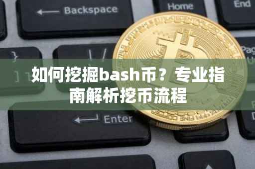 如何挖掘bash币？专业指南解析挖币流程