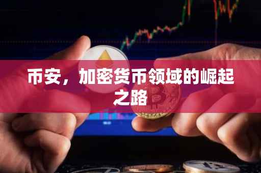 币安，加密货币领域的崛起之路