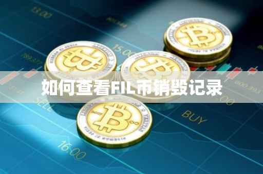如何查看FIL币销毁记录