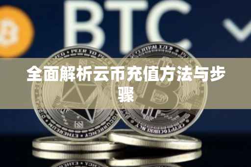 全面解析云币充值方法与步骤