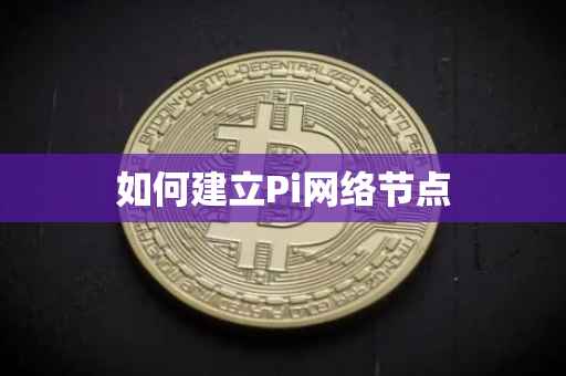如何建立Pi网络节点