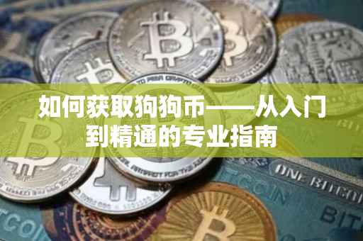 如何获取狗狗币——从入门到精通的专业指南