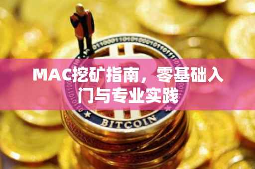 MAC挖矿指南，零基础入门与专业实践