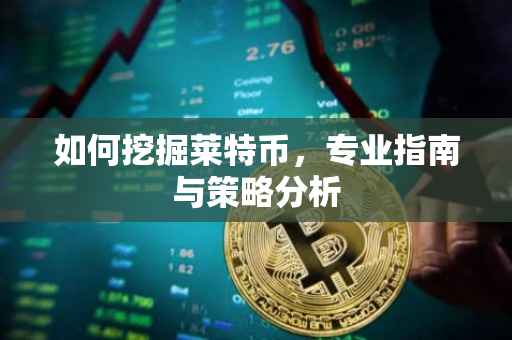 如何挖掘莱特币,专业指南与策略分析