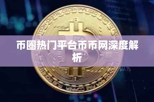 币圈热门平台币币网深度解析
