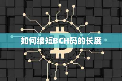 如何缩短BCH码的长度