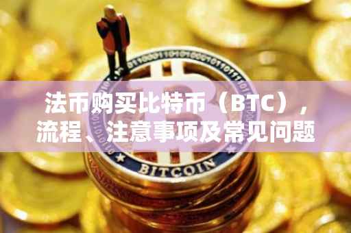 法币购买比特币(BTC),流程、注意事项及常见问题解答