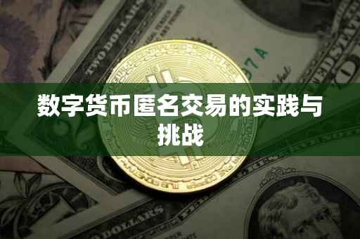数字货币匿名交易的实践与挑战