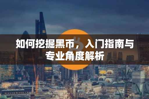 如何挖掘黑币，入门指南与专业角度解析