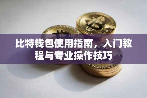 比特钱包使用指南，入门教程与专业操作技巧