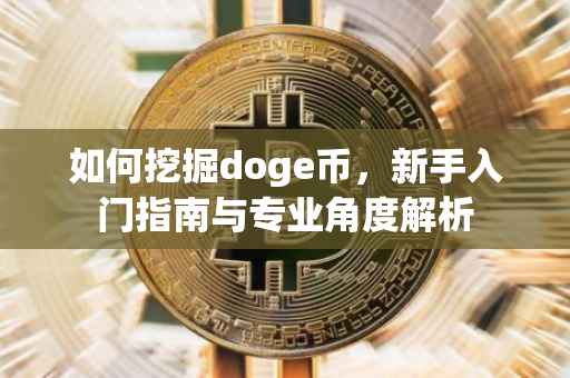 如何挖掘doge币，新手入门指南与专业角度解析
